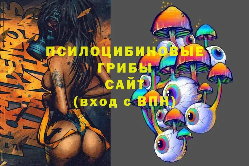 дарнет шоп  Серпухов  Галлюциногенные грибы Cubensis 