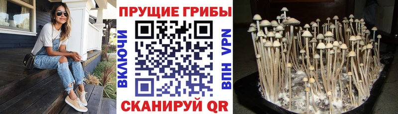 Псилоцибиновые грибы ЛСД  дарк нет состав  Серпухов 